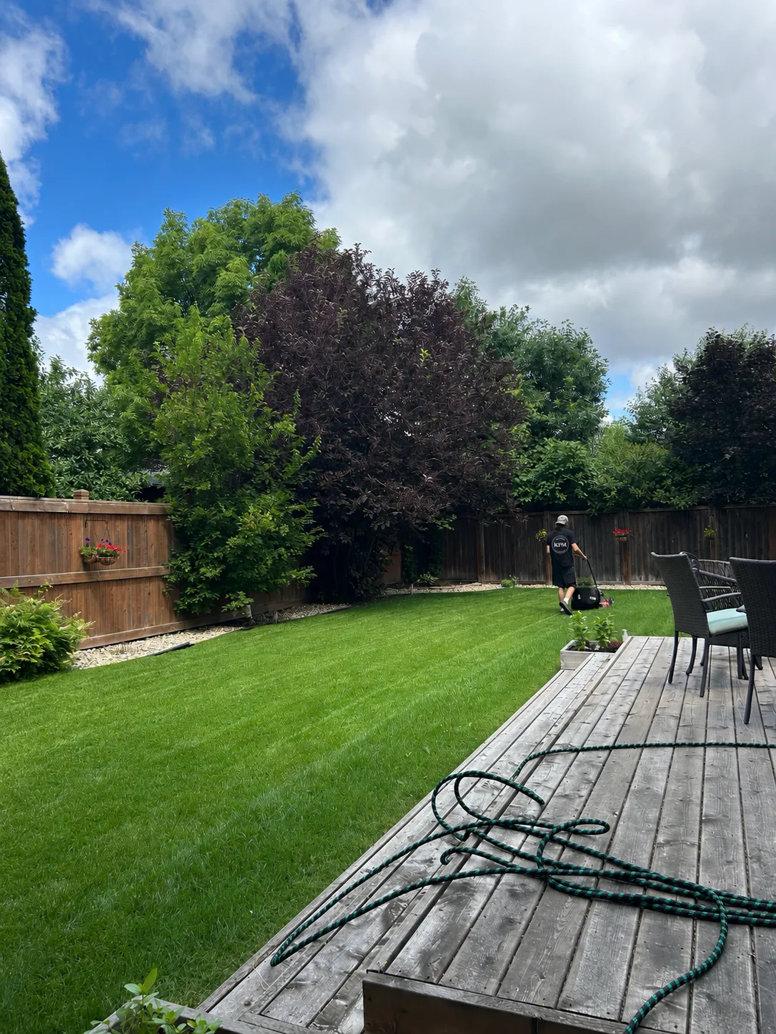 Keystone crew member mowing a green backyard lawn
