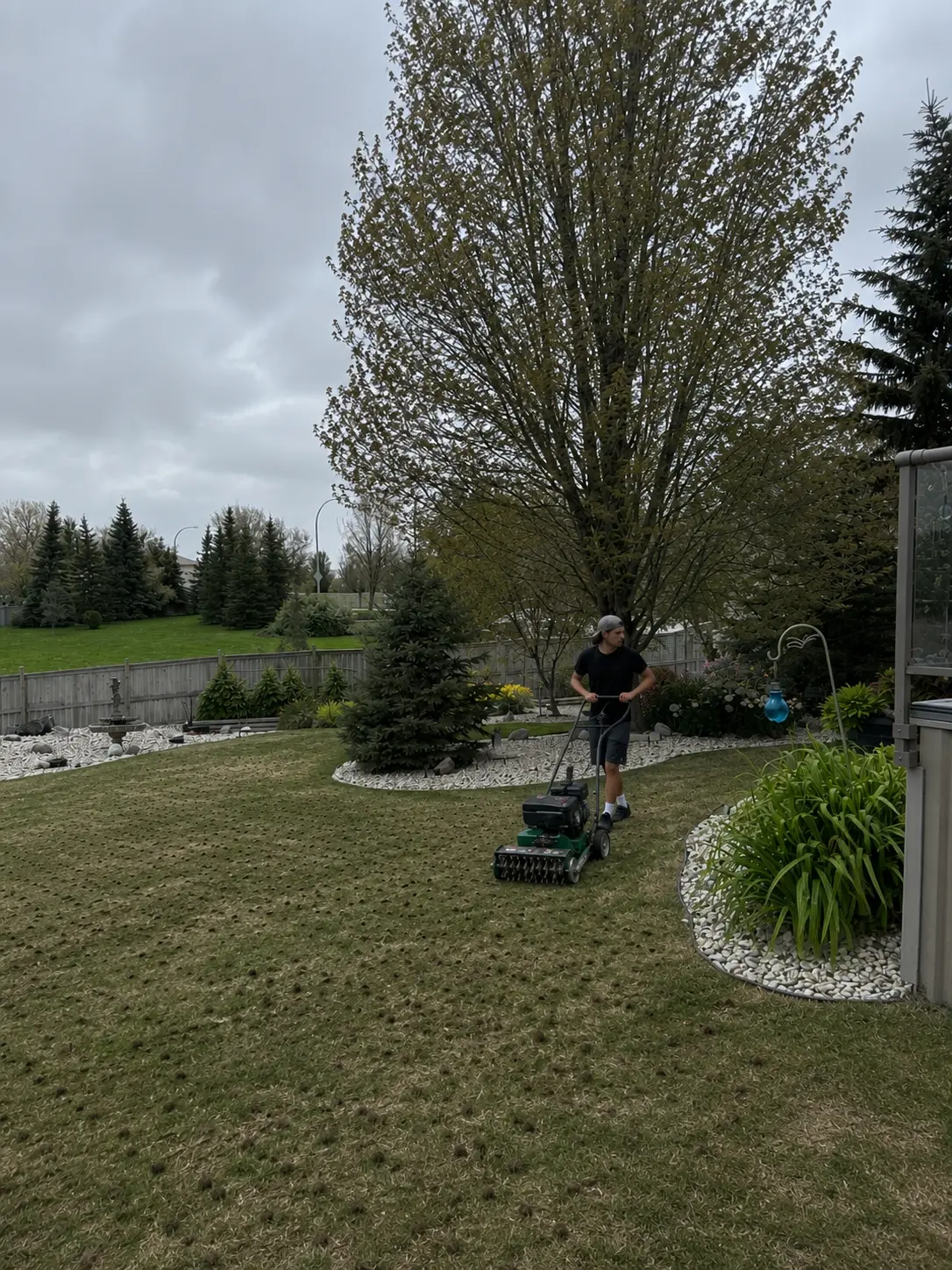 Lawn aeration service around landscaped garden beds
